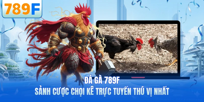 Đá Gà 789F - Sảnh Cược Chọi Kê Trực Tuyến Thú Vị Nhất