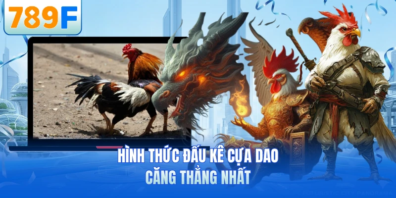 Hình thức đấu kê cựa dao căng thẳng nhất